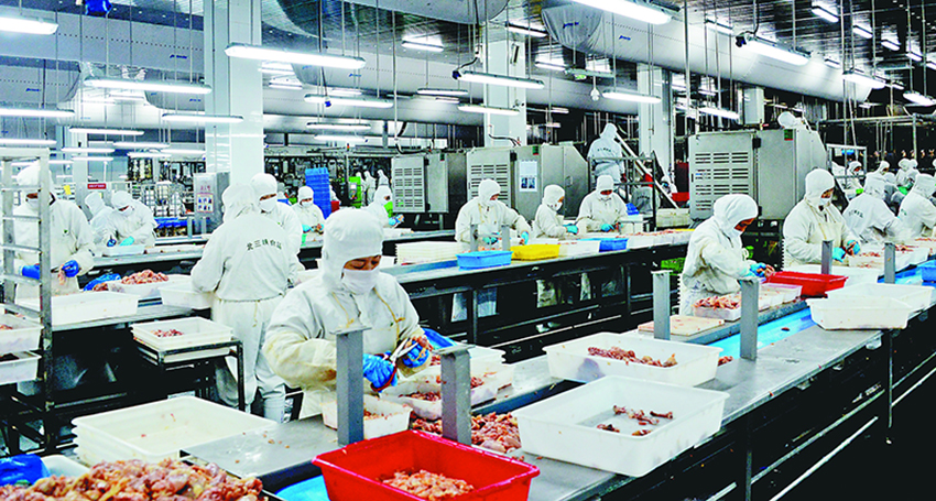 食品加工車(chē)間裝修效果